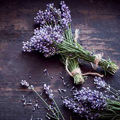 lavendel blombukett