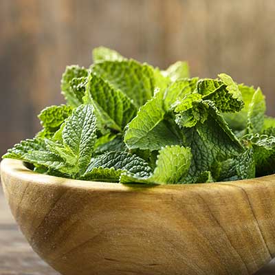 mint leaves in a bowl