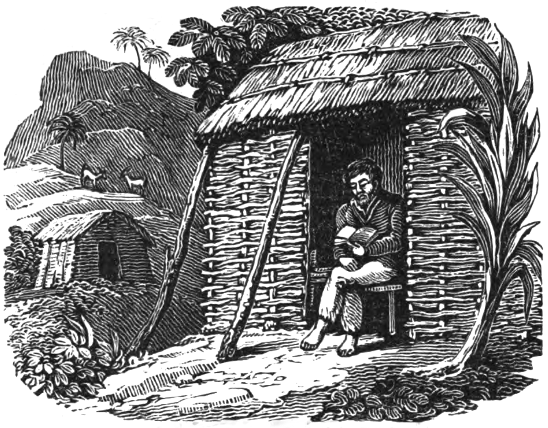 illustration of selkirk reading bible
