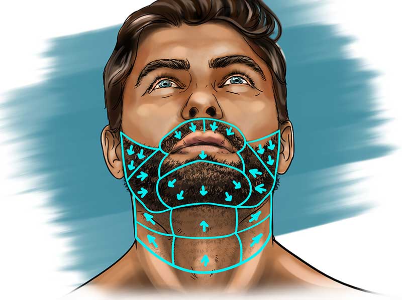 illustration of beard growth direction for shaving guide
